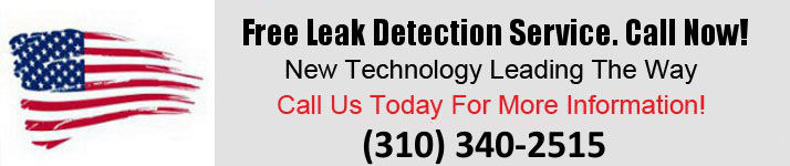 Free Leak Detection